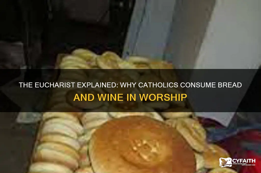 why do catholics eat bread and drink wine