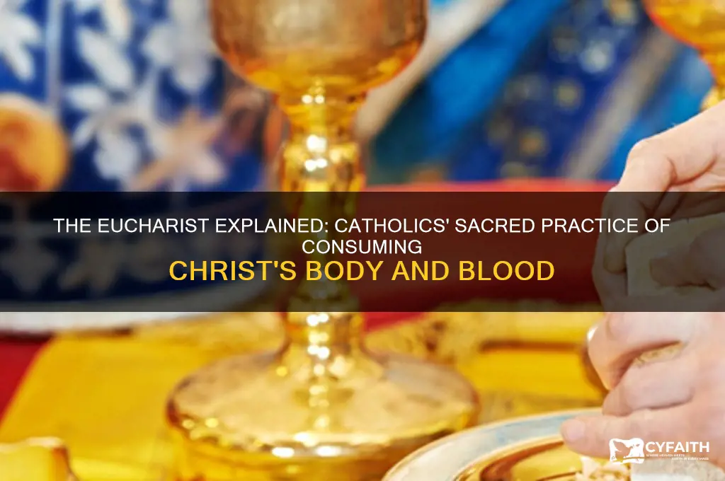why do catholics eat the body and blood of christ