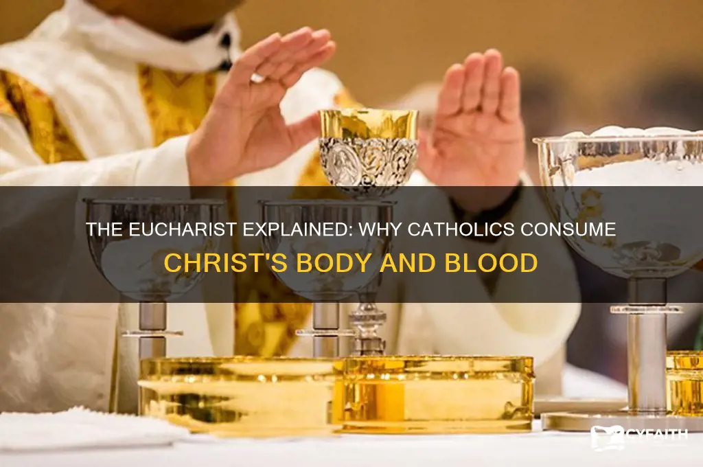 why do catholics eat the body and blood