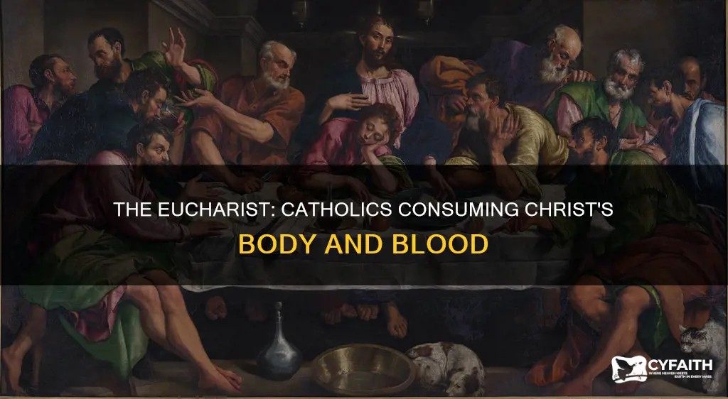 why do catholics eat the body of christ