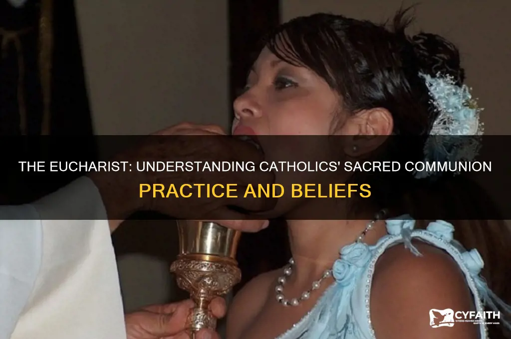 why do catholics eat the eucharist
