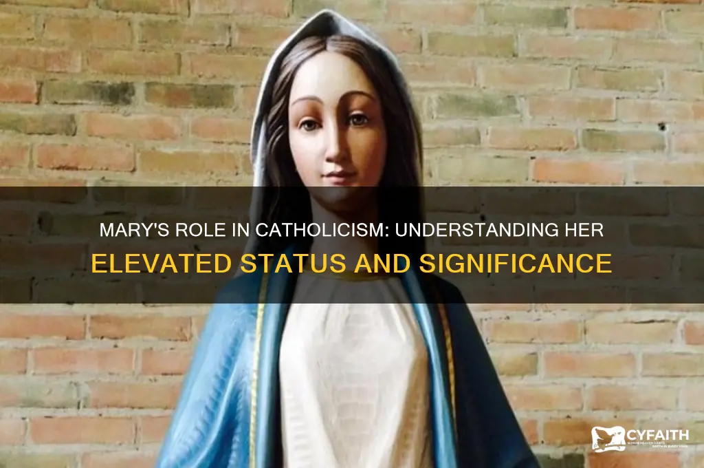 why do catholics elevate mary