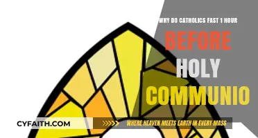 Understanding the Catholic Tradition: Fasting Before Holy Communion Explained