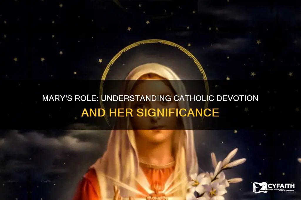 why do catholics focus on mary