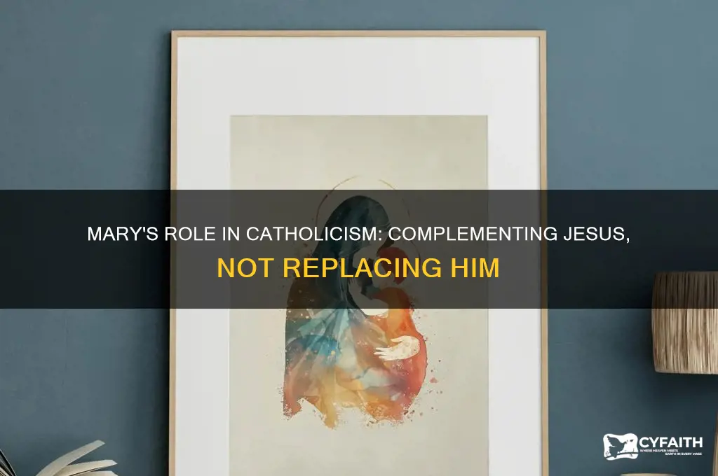 why do catholics follow mary instead of jesus