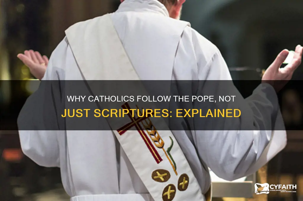 why do catholics follow pope and not scriptures