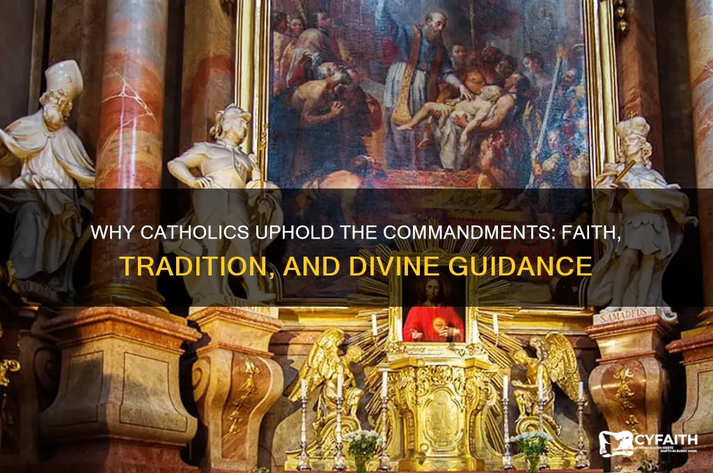 why do catholics follow the the commandments