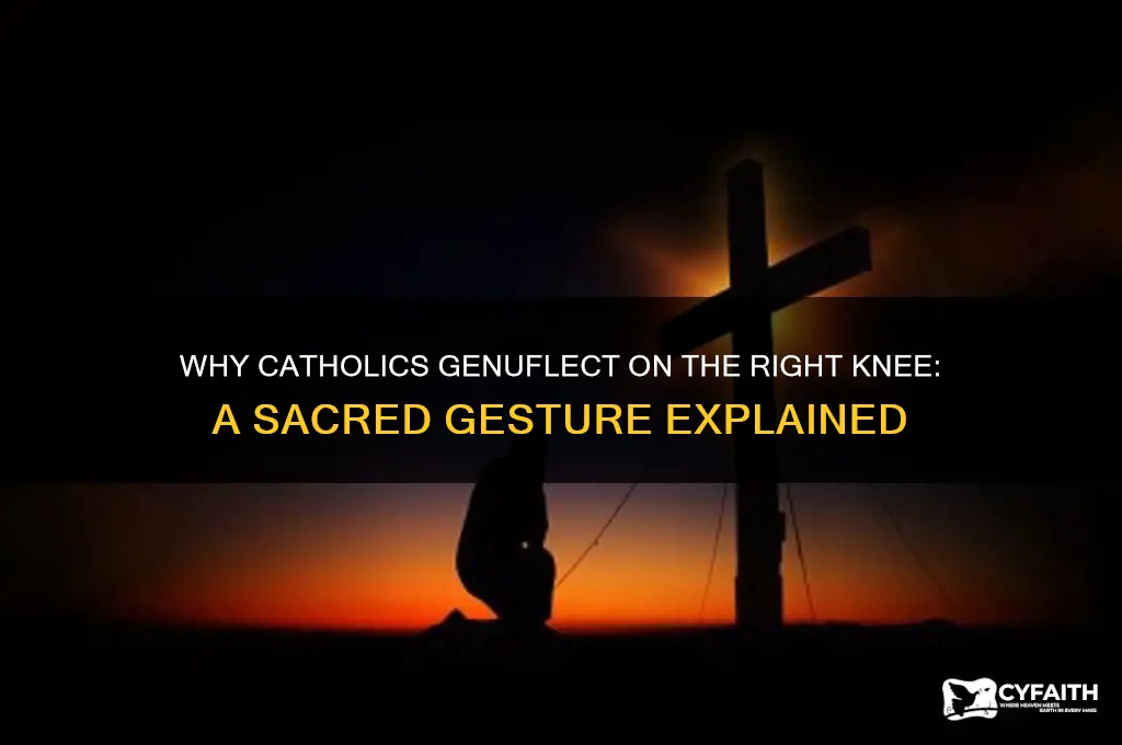 why do catholics genuflect with their right knee