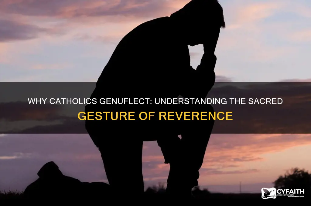 why do catholics genuflect
