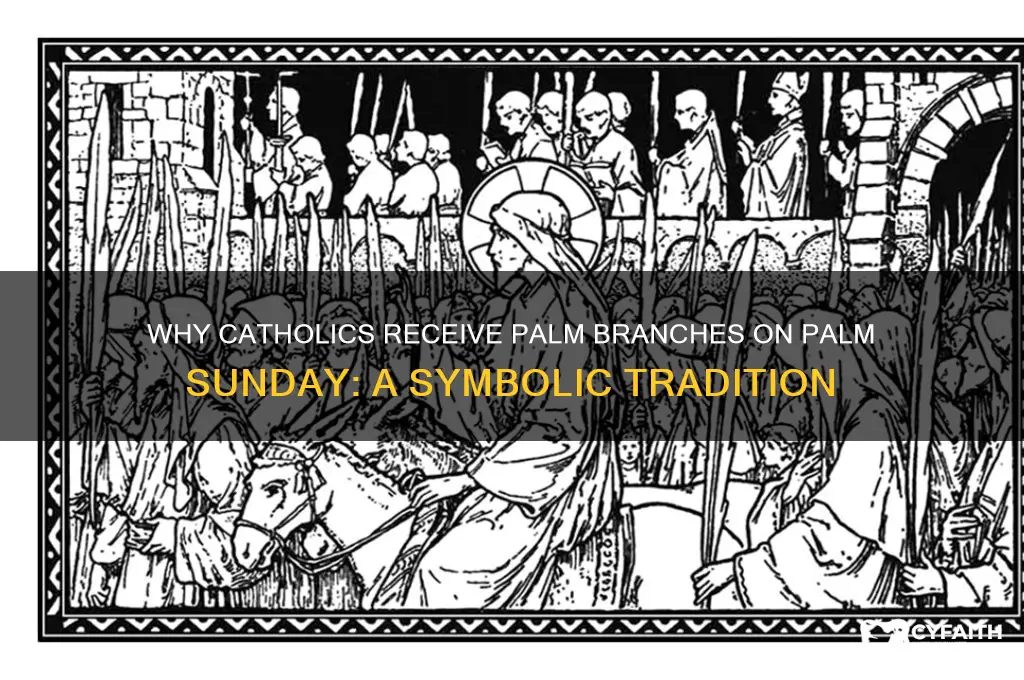 why do catholics get palms on palm sunday