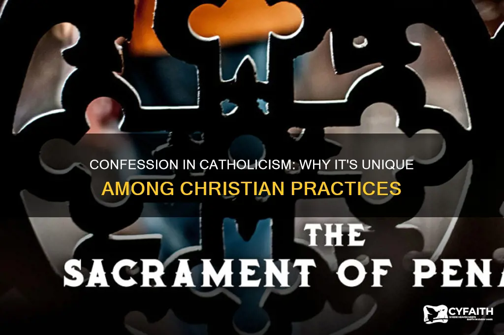 why do catholics go to confession but other christians dont