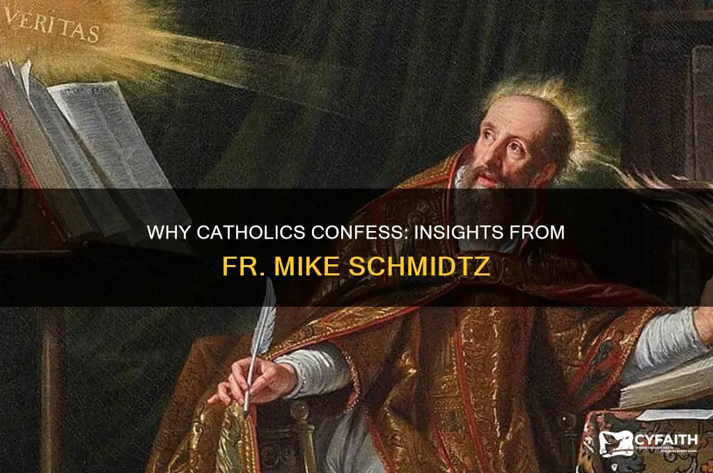 why do catholics go to confession-fr mike schmidtz