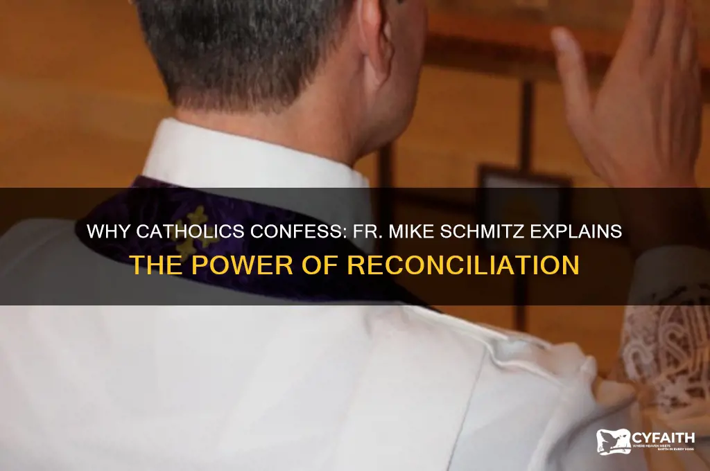 why do catholics go to confession-fr mike schmitz