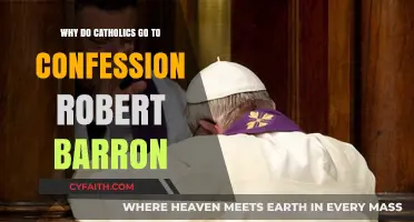 Why Catholics Confess: Insights from Robert Barron's Teachings
