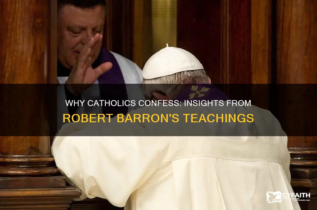 why do catholics go to confession robert barron