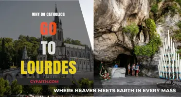 Why Catholics Pilgrimage to Lourdes: Faith, Healing, and Miracles Explained