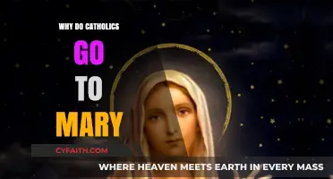 Why Catholics Honor Mary: Exploring Devotion and Spiritual Connection