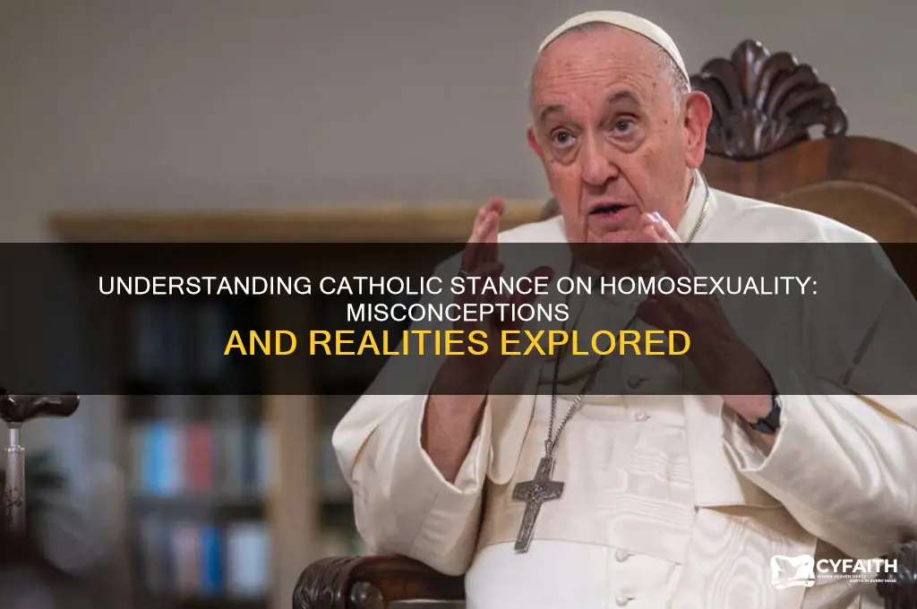 why do catholics hate gay people