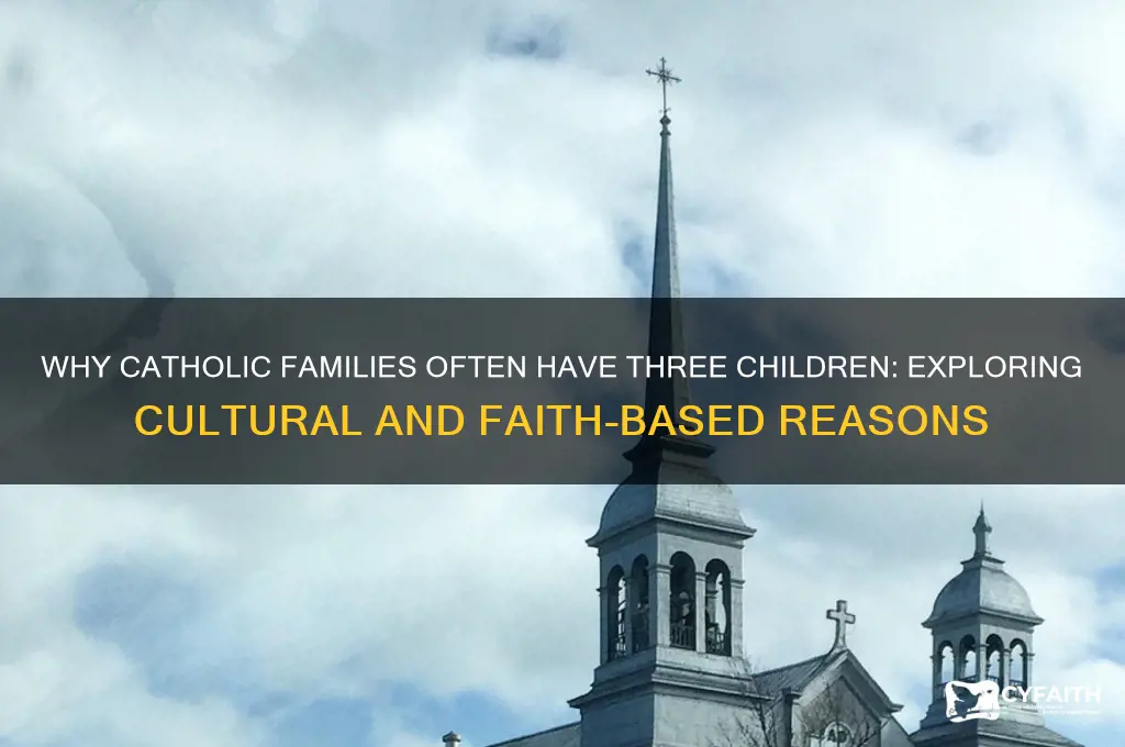 why do catholics have 3 kids