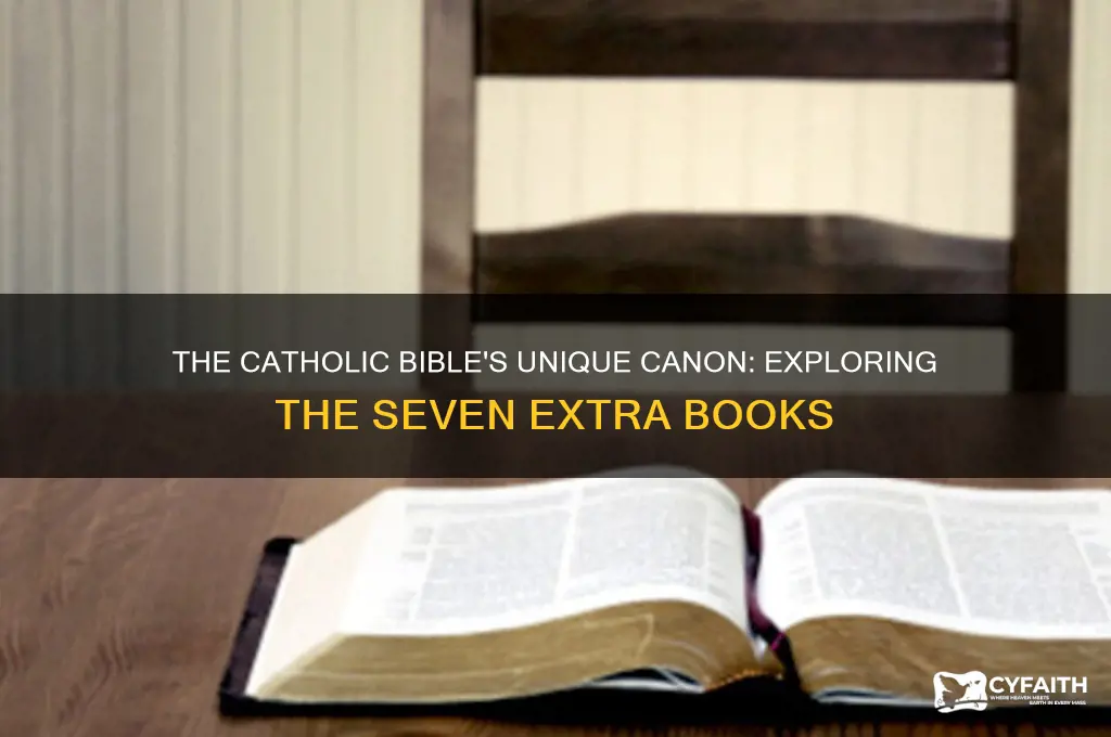 why do catholics have 7 more books