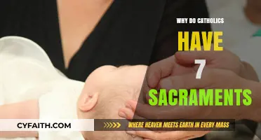Understanding the Seven Sacraments in Catholic Tradition and Practice