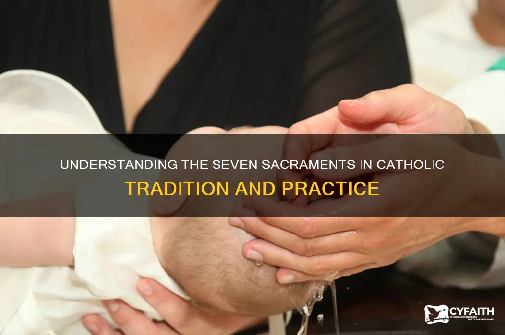 why do catholics have 7 sacraments