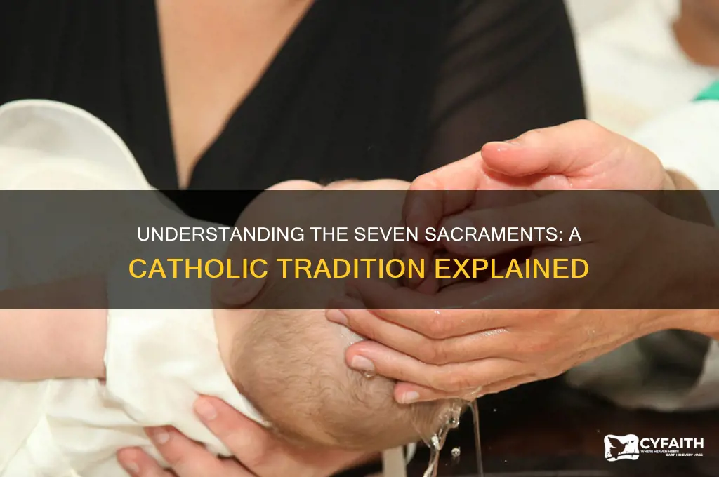 why do catholics have 7 sacrements