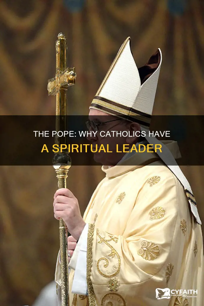 why do catholics have a pope
