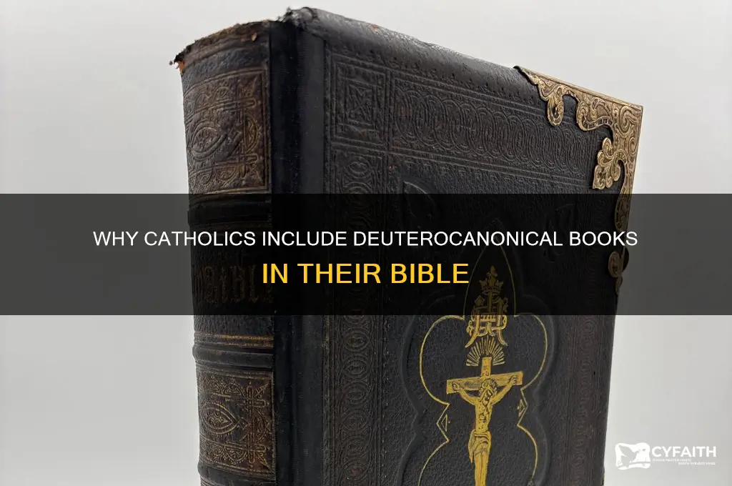 why do catholics have deuterocanonical books