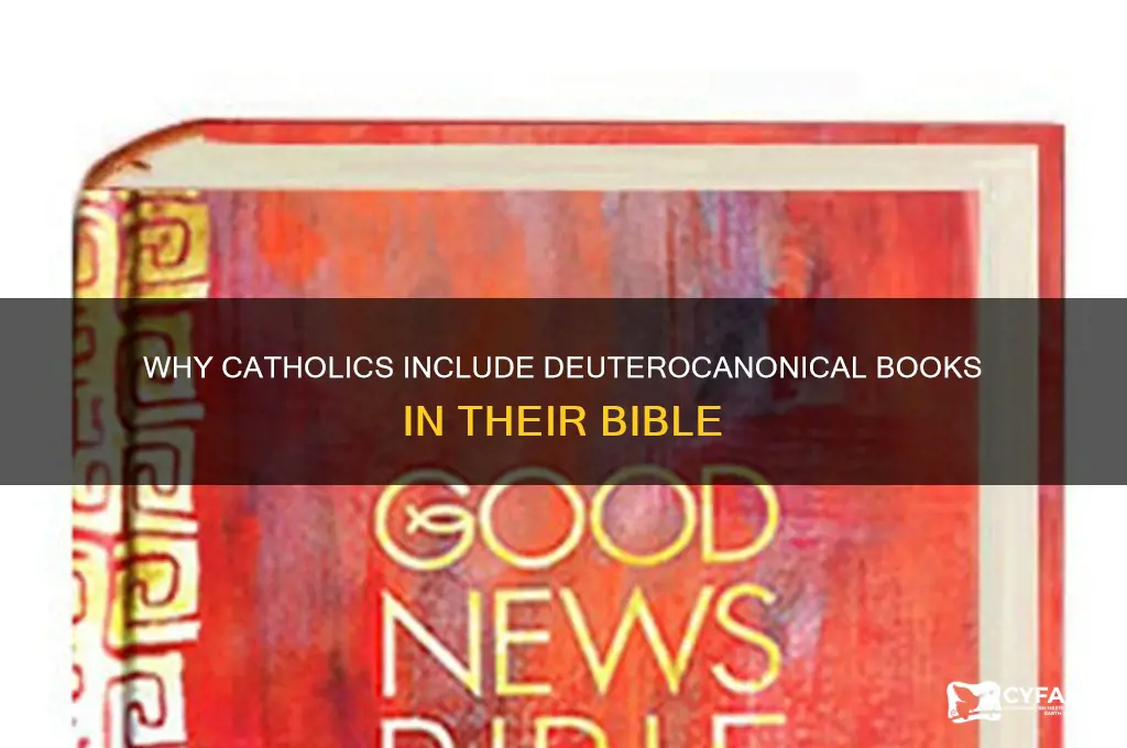 why do catholics have extra books