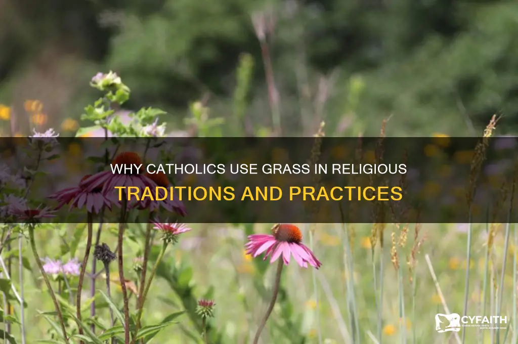 why do catholics have grass