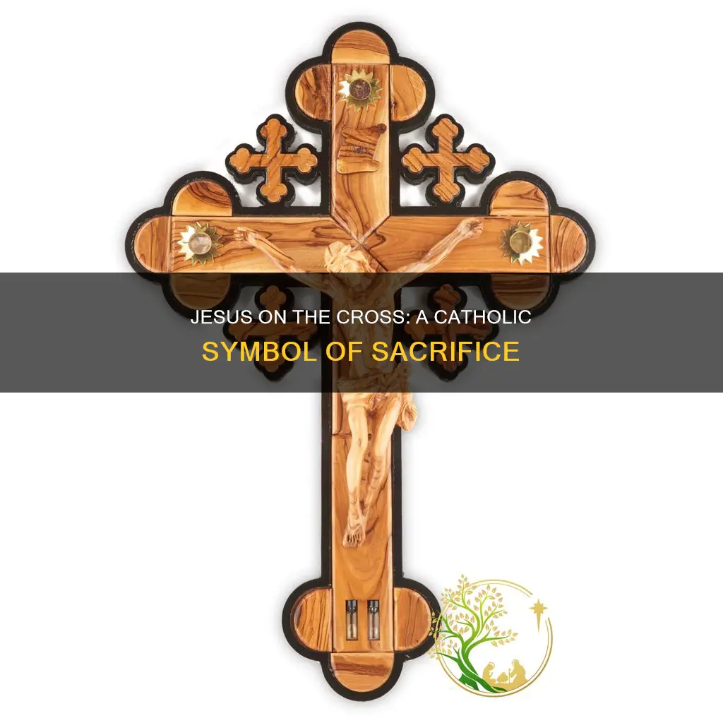 why do catholics have jesus on the cross
