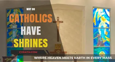 Understanding Catholic Devotion: The Purpose and Meaning of Shrines