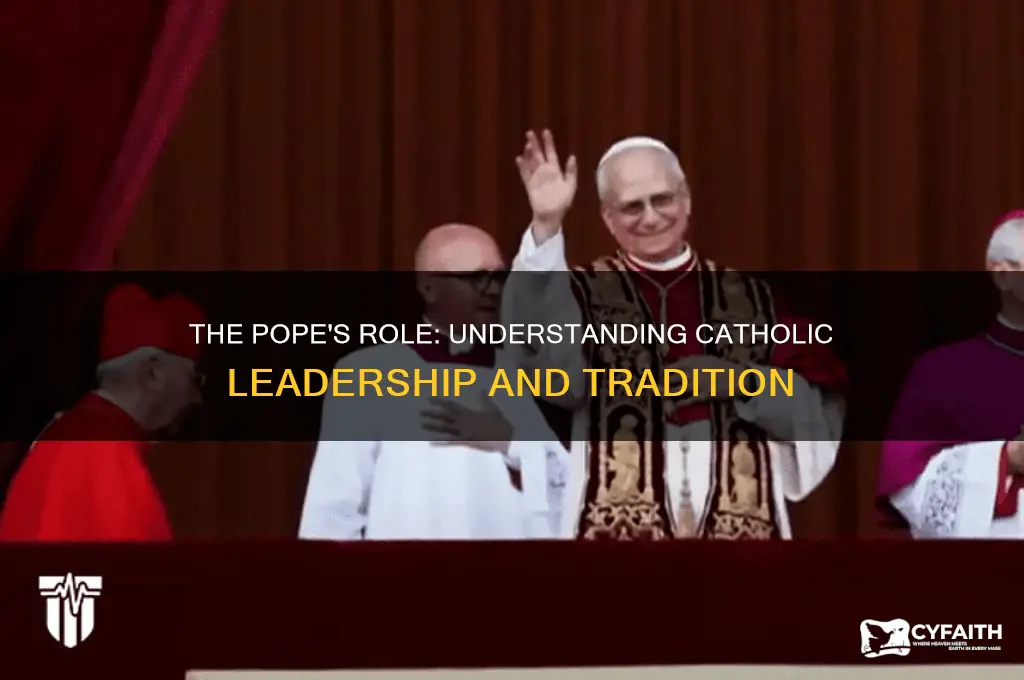why do catholics have the pope