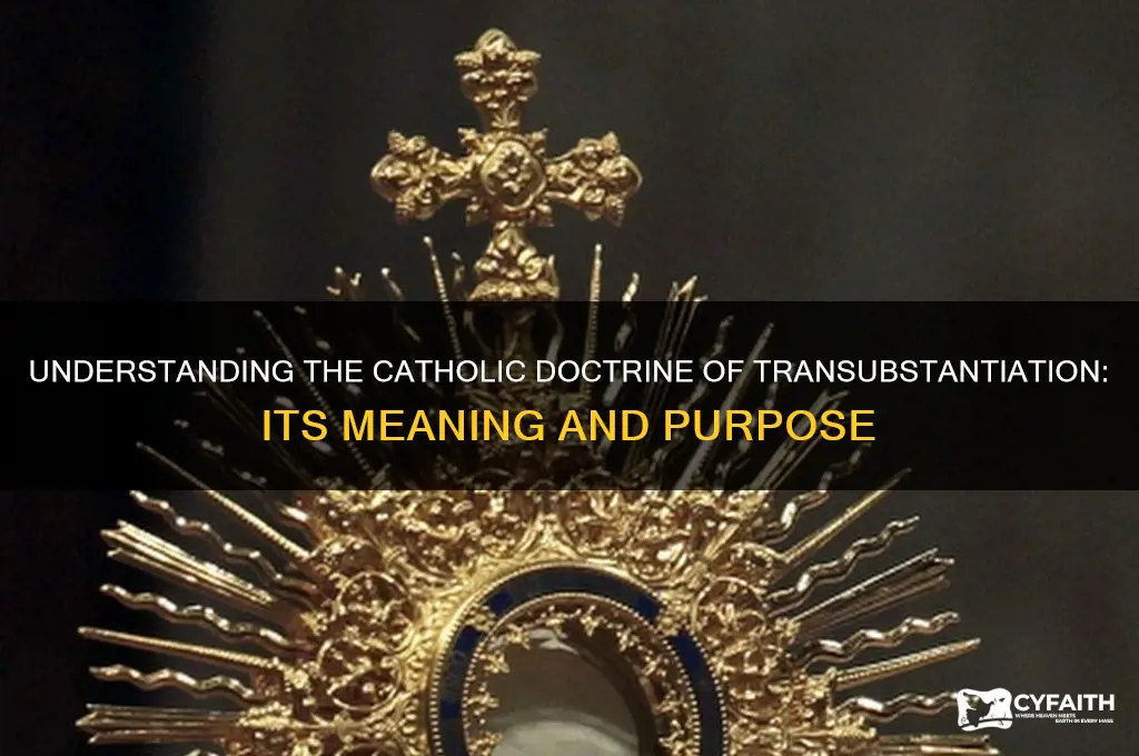 why do catholics have the transubstantiation doctrine