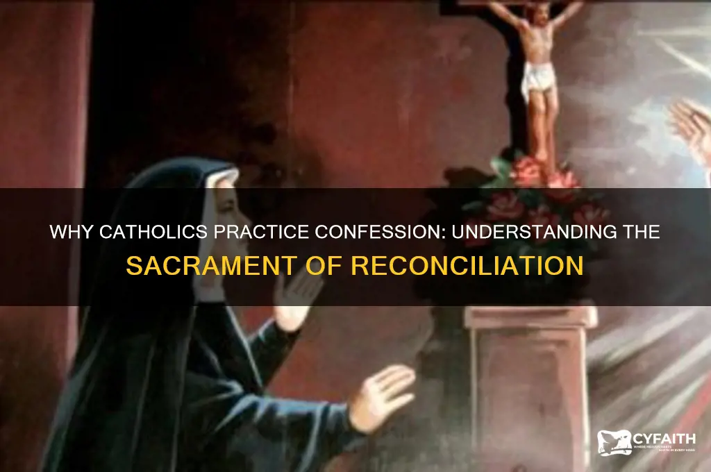 why do catholics have to go confessions