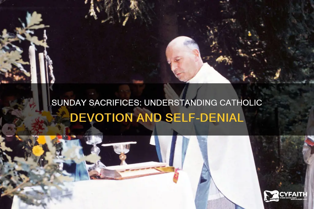 why do catholics have to make a sacrifice every sunday