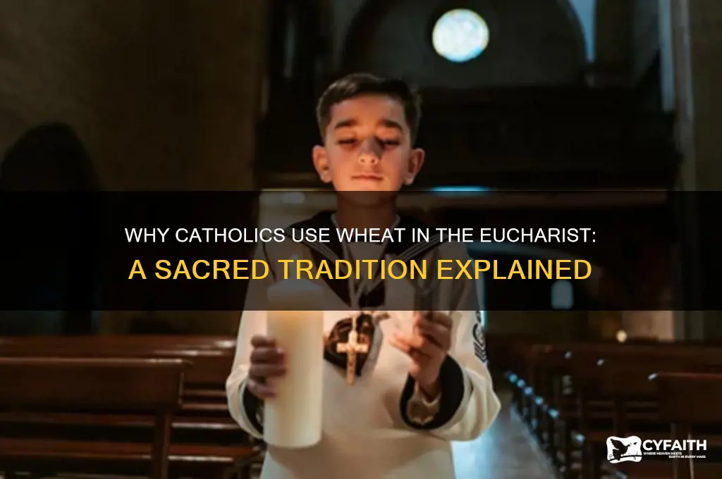 why do catholics have wheat