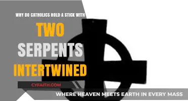 The Symbolism of the Catholic Serpent-Entwined Staff Explained