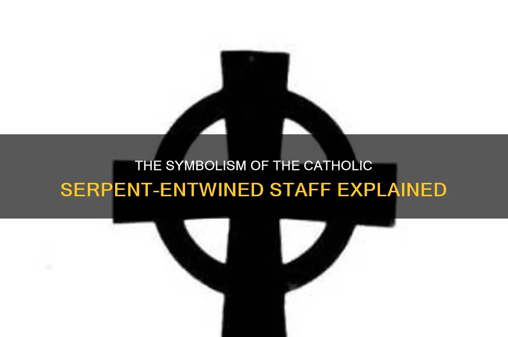 why do catholics hold a stick with two serpents intertwined