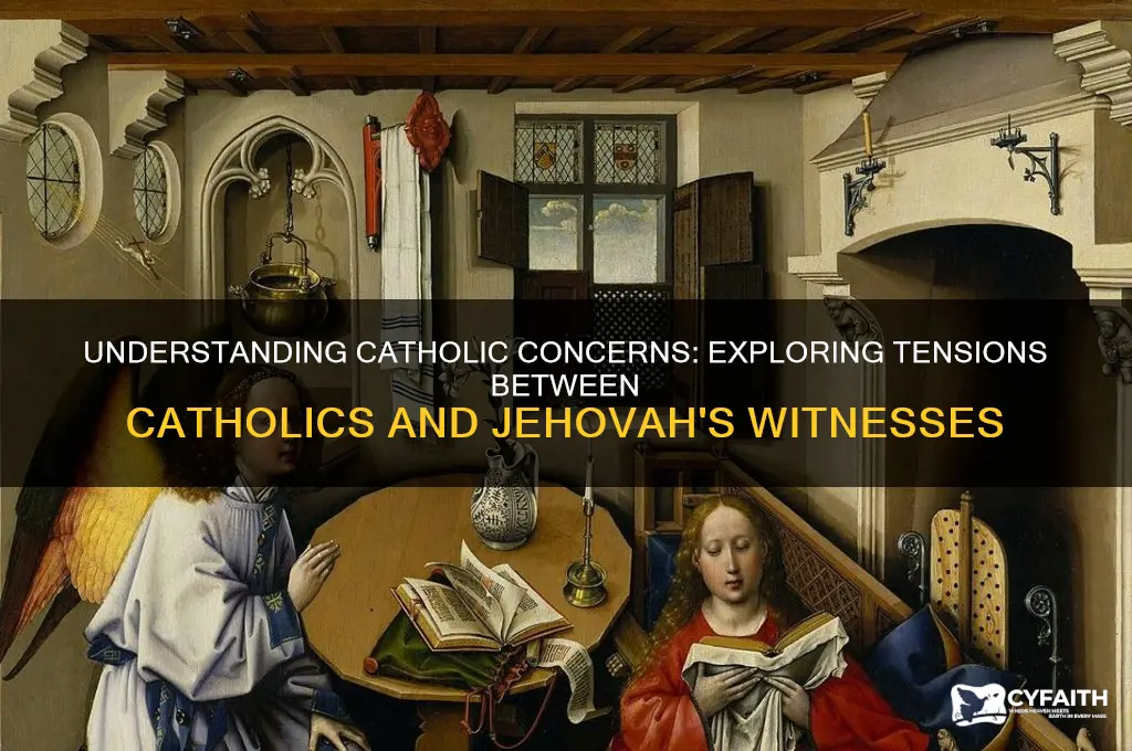 why do catholics hqve ossues qith jeauits