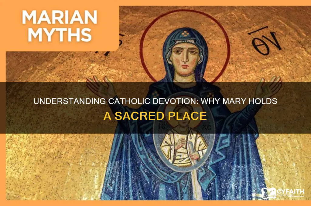 why do catholics idoliz mary