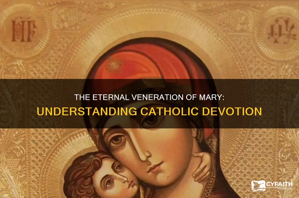 why do catholics immortalize the virgin mary