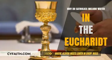 The Symbolic Role of Water in the Catholic Eucharist Explained