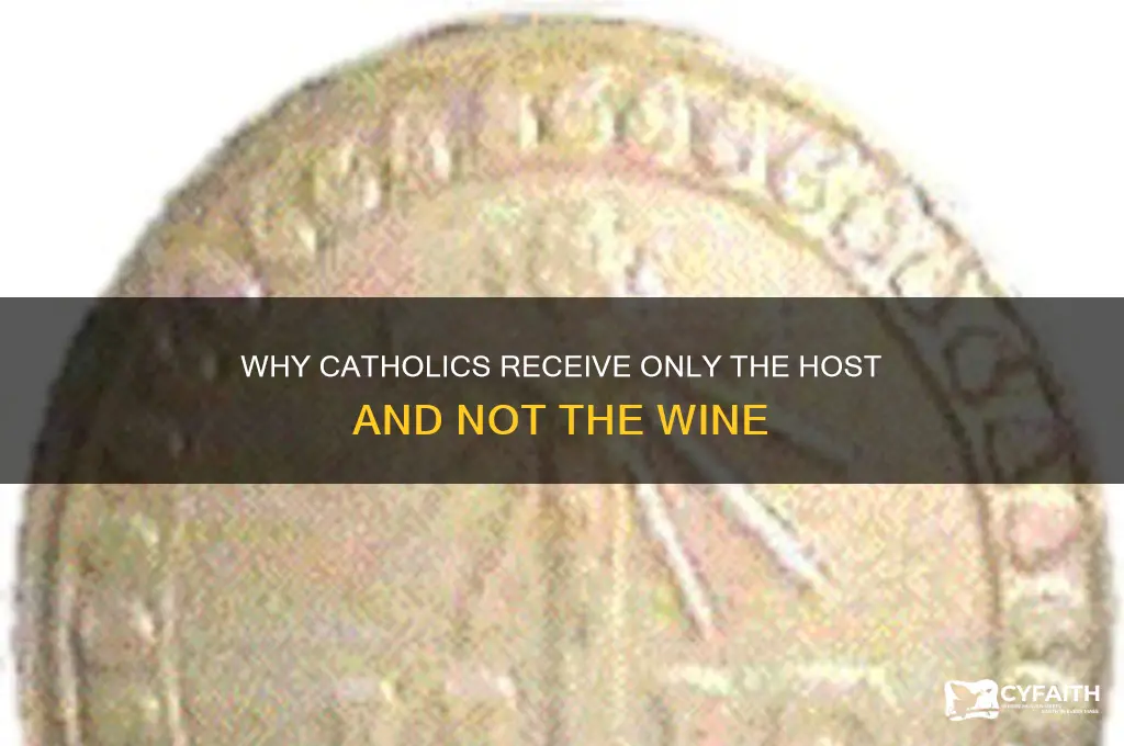 why do catholics just take host not wine