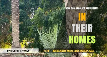 Why Catholics Cherish and Preserve Palm Branches in Their Homes