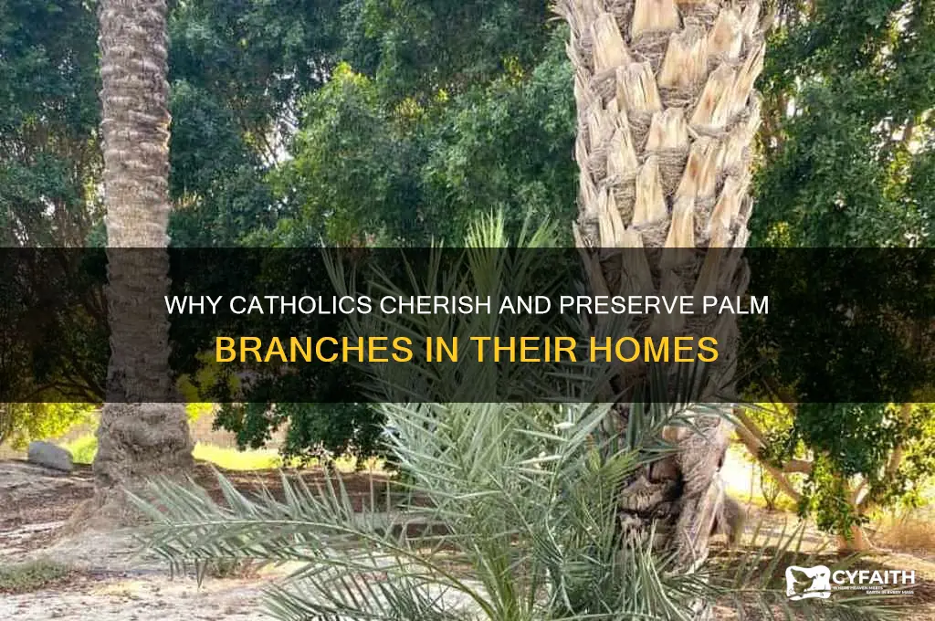 why do catholics keep palms in their homes