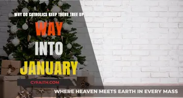 Why Catholics Extend Christmas Joy: Keeping Trees Up in January