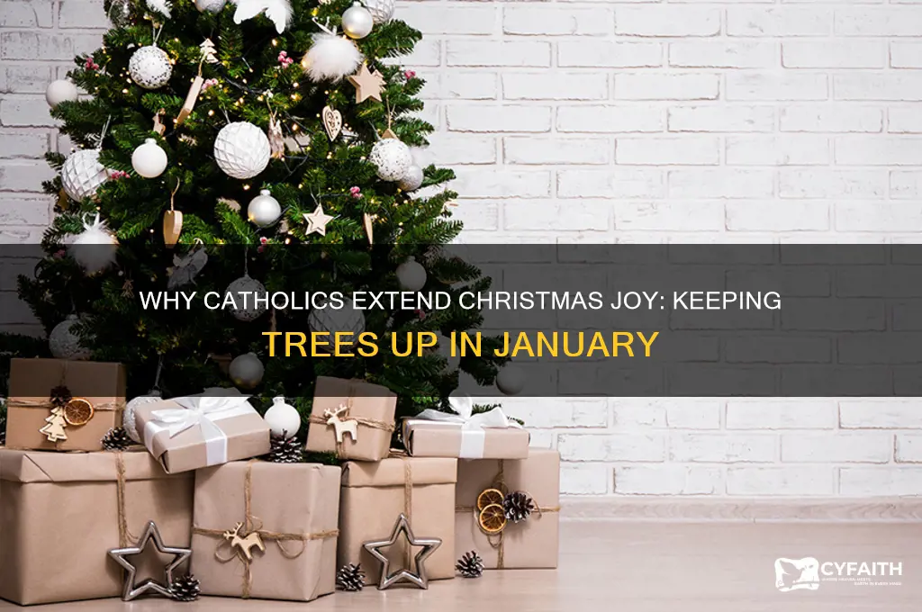 why do catholics keep there tree up way into january