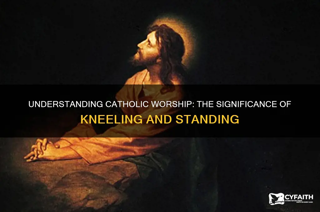 why do catholics kneel and stand